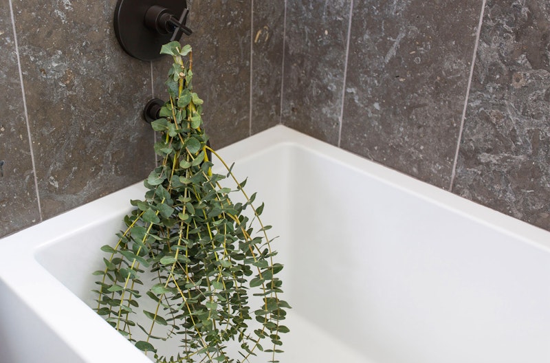 Modern bathroom with a white corner bathtub adorned with a hanging eucalyptus plant, against a backdrop of grey tiled walls and a dark faucet.