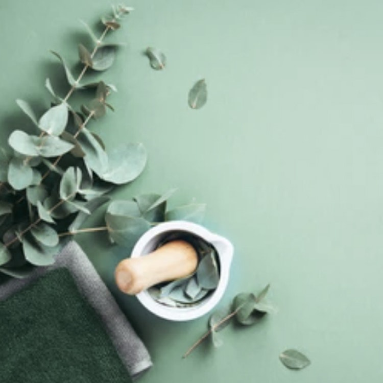 White mortar and pestle with eucalyptus leaves on a pastel green background, accompanied by a dark green towel, suggesting a spa or wellness theme.