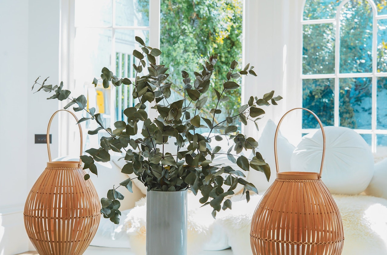 A stylish indoor arrangement of eucalyptus in a modern vase, accented by woven lanterns.