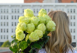 Woman with long hair holding a large bouquet of pale green roses in focus, with a blurred urban background suggesting a city setting.