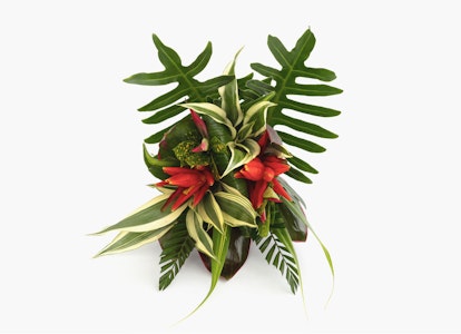 Lush tropical bouquet with green leaves and red flowers on a white background, displaying a variety of textures and colors used in floral design.