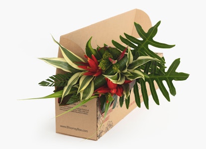 Cardboard box overflowing with lush green tropical leaves and bright red flowers against a clean white background, symbolizing eco-friendly packaging.