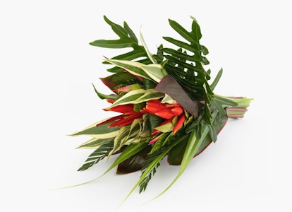 Elegant tropical bouquet with bright red flowers and lush green leaves arranged on a clean white background, ideal for sophisticated floral themes.