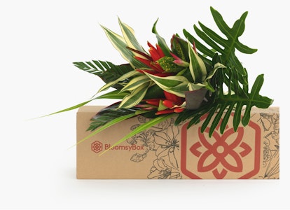 Elegant tropical flower bouquet with vibrant red and green foliage emerging from a decorative cardboard box, showcasing exotic botanical arrangement for gifting.
