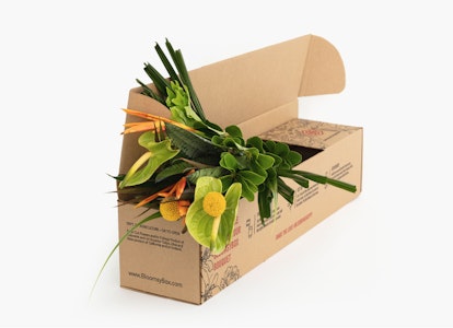 Cardboard box filled with assorted fresh vegetables and greens on a white background, highlighting a sustainable grocery delivery service concept.