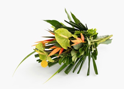 A variety of fresh vegetables and herbs, including carrots, spring onions, and greens, gathered into a vibrant bunch against an isolated white background.