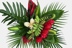 Tropical bouquet featuring green monstera leaves, red ginger flowers, a bunch of small green bananas, and white exotic blooms on a light background.