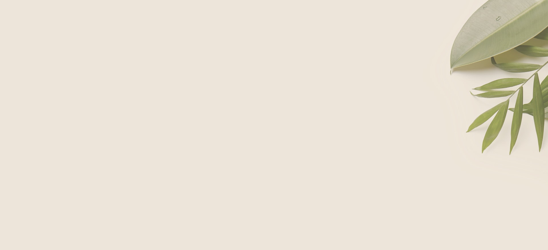 Elegant green leaves with a soft neutral background, perfect for enhancing floral compositions.