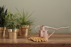 beautiful plants and tools to take care of them
