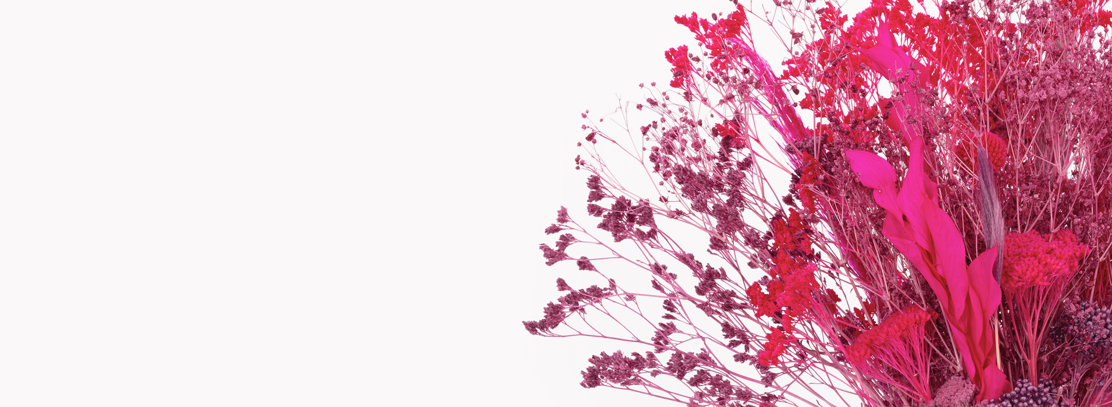 Vibrant dried floral arrangement featuring pink and red hues, perfect for modern decor.