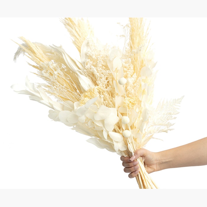 Person holding a bouquet of dried pampas grass and other white dried flowers and plants against a plain white background, focusing on a natural aesthetic.