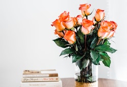 Vibrant orange roses arranged in a clear vase on a table, with blurred books including titles by Jojo Moyes and Liane Moriarty in the background.