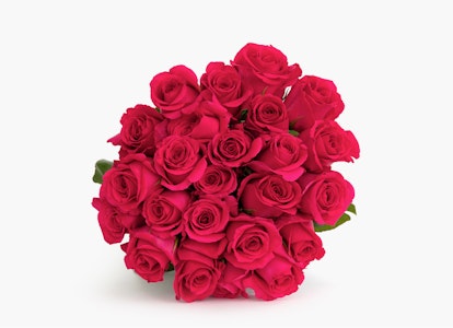 A vibrant bouquet of crimson red roses with lush green leaves, presented against a clean, white background, suggesting romance or a special occasion.