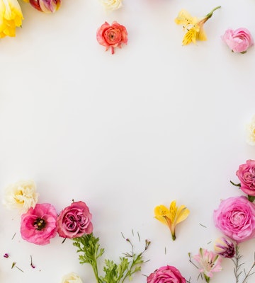 Colorful assortment of flowers including pink roses, yellow daffodils, and white blooms arranged in a circle on a white background with space for text in the center.