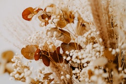 Close-up of a warm-toned dried flower arrangement featuring delicate white baby's breath and rustic brown leaves, creating a cozy, vintage ambiance for a natural decor theme.