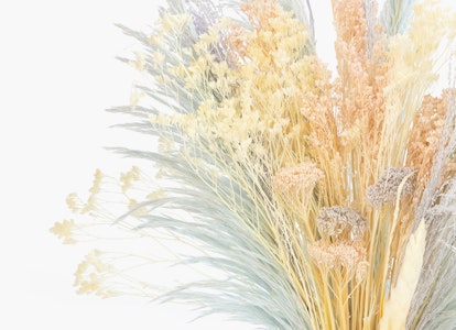 An elegant bouquet of dried pampas grass and flowers in delicate shades of beige, yellow, and green arranged against a soft white background for a tranquil aesthetic.