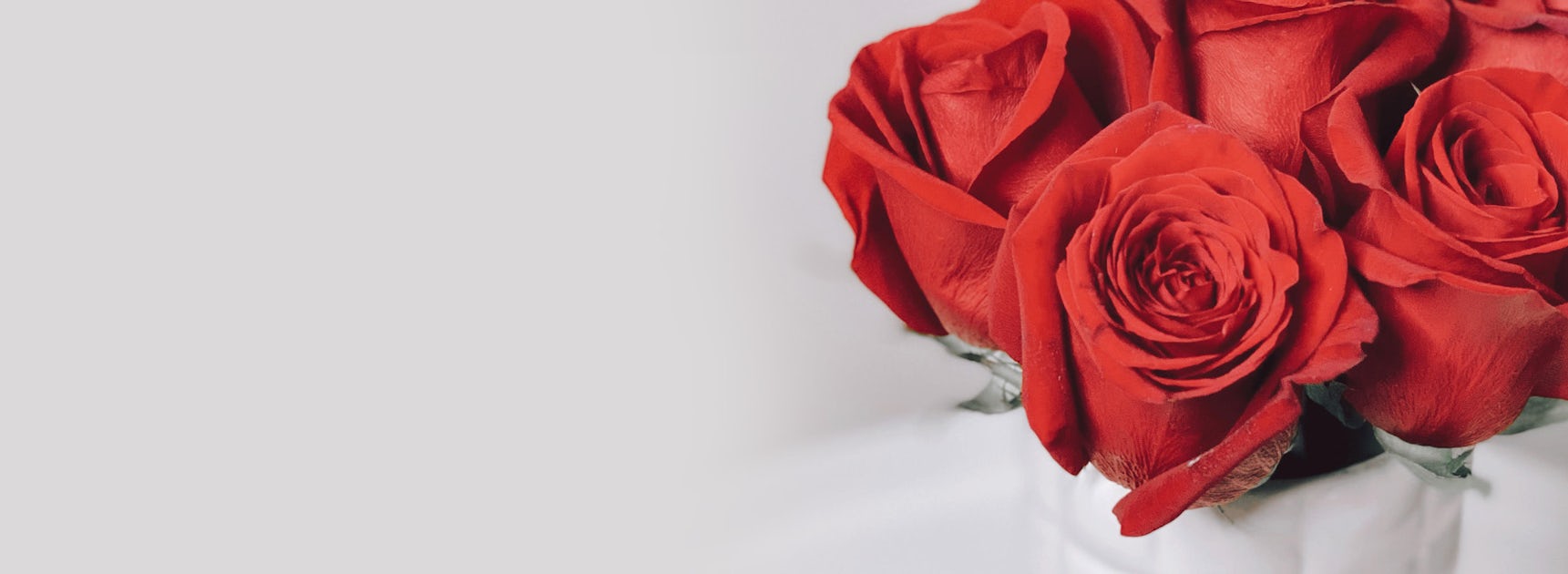 Luxurious red roses in a white vase, perfect for expressing love and affection.