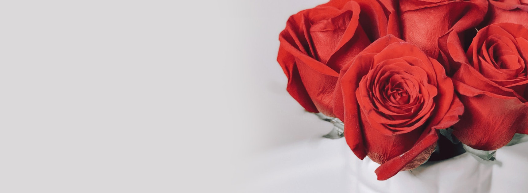 Luxurious red roses in a white vase, perfect for expressing love and affection.