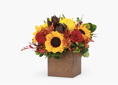 Vibrant sunflower bouquet featuring red roses and autumn foliage in a square wooden vase against a white background, symbolizing a warm seasonal gift.