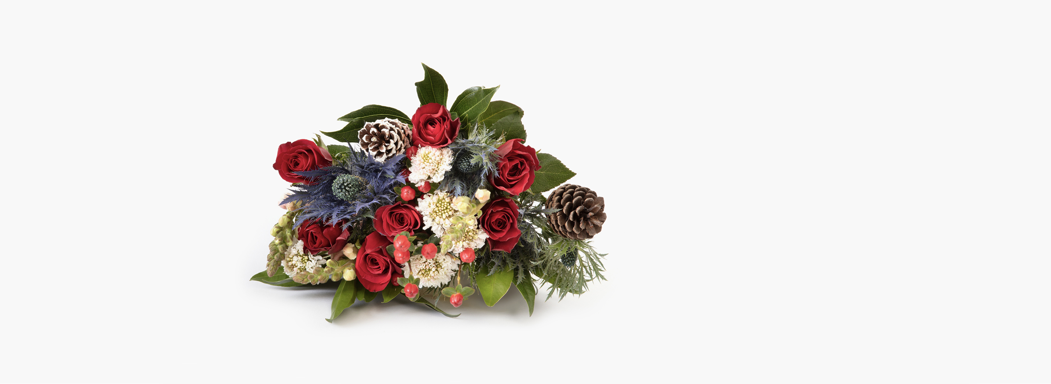 Most Popular Holiday Flowers Holiday Gifts BloomsyBox
