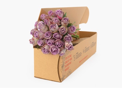 A bouquet of fresh purple roses partially packed in a cardboard box, suggesting delivery or a gift, with a plain white background emphasizing the subject.