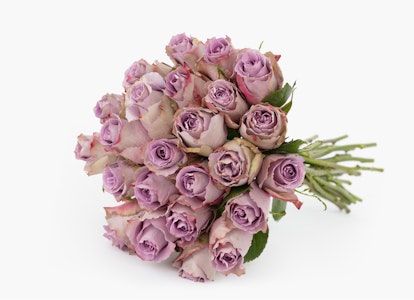 A beautiful bouquet of pastel purple roses with green stems tied together, presented against a clean white background, evoking elegance and simplicity.