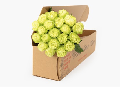 A cardboard box tipped over with a bunch of bright green roses spilling out, set against a clean, white background, highlighting a fresh flower delivery concept.