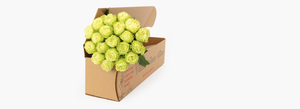 A vibrant bouquet of green roses elegantly packaged in a stylish box, ideal for gifts.