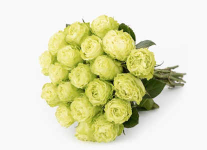 Bouquet of fresh green roses arranged elegantly, lying diagonally with stems visible, set against a clean, white background showcasing spring vibes.