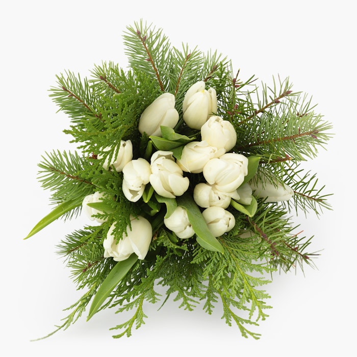 Elegant bouquet of fresh white tulips surrounded by lush green fern leaves and decorative foliage isolated on a white background, perfect for weddings or decor.
