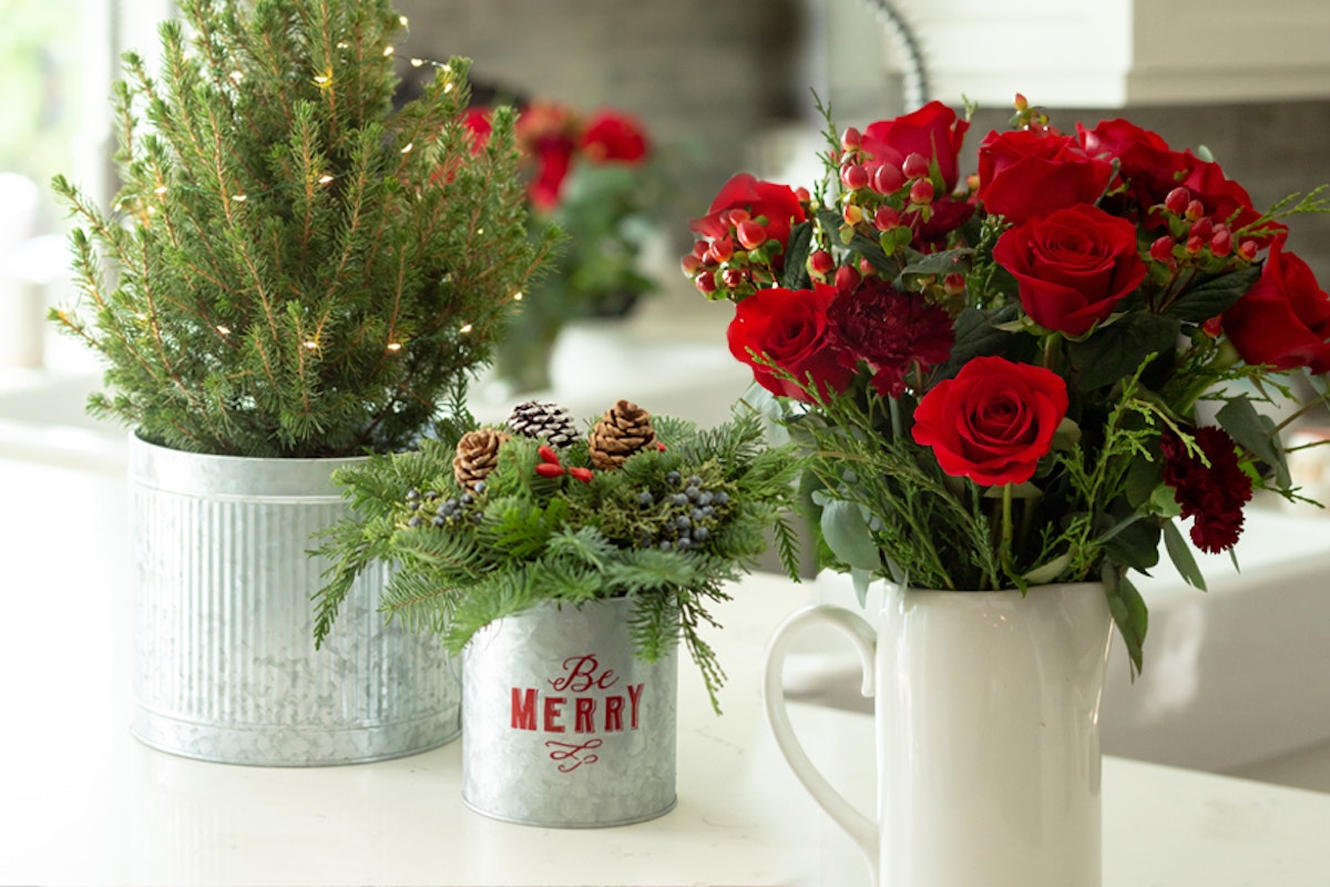 Best New Years Flowers Christmas Gifts BloomsyBox