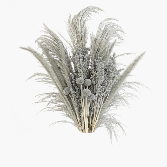 Elegant bouquet of dried pampas grass and thistles in soft gray tones against a clean white background, suitable for stylish home decor or events.
