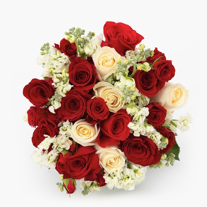 Beautiful bouquet of red and white roses with complementary greenery, presented from a top view on a clean white background, perfect for romantic occasions.