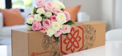 Bouquet of fresh pink and white roses arranged elegantly on top of a BloomysBox, which is a flower delivery box with artistic flower designs, placed on a white table indoors.
