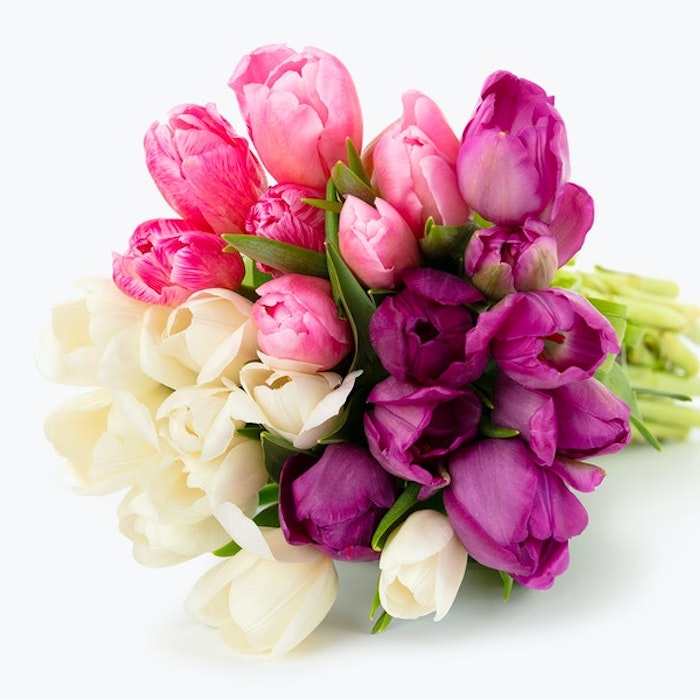 tulips arrangements