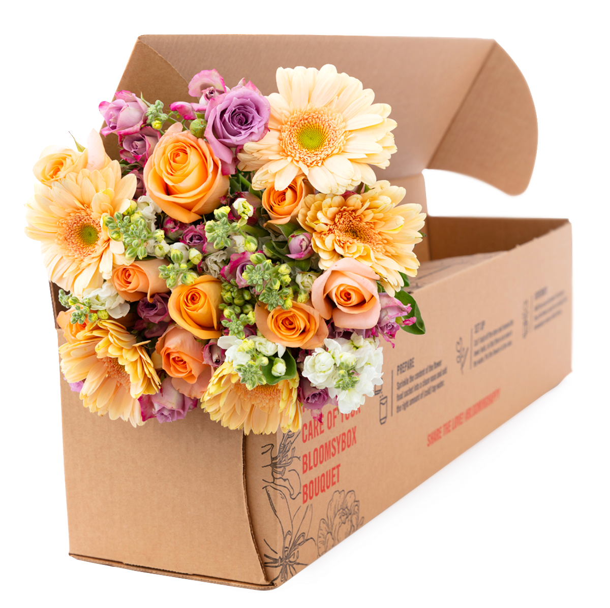 Pet Friendly Flowers Pet Safe Flowers Dog Flowers