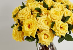 A vibrant bouquet of fresh yellow roses with lush green leaves, displayed in a clear glass vase against a neutral gray background.