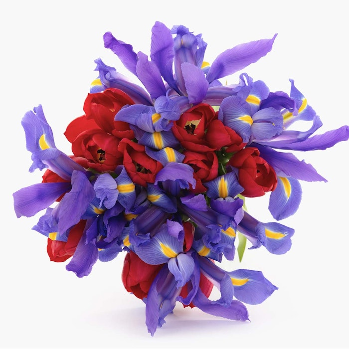Vibrant bouquet of purple and red flowers with yellow centers, arranged in a spherical shape, set against a clean white background.