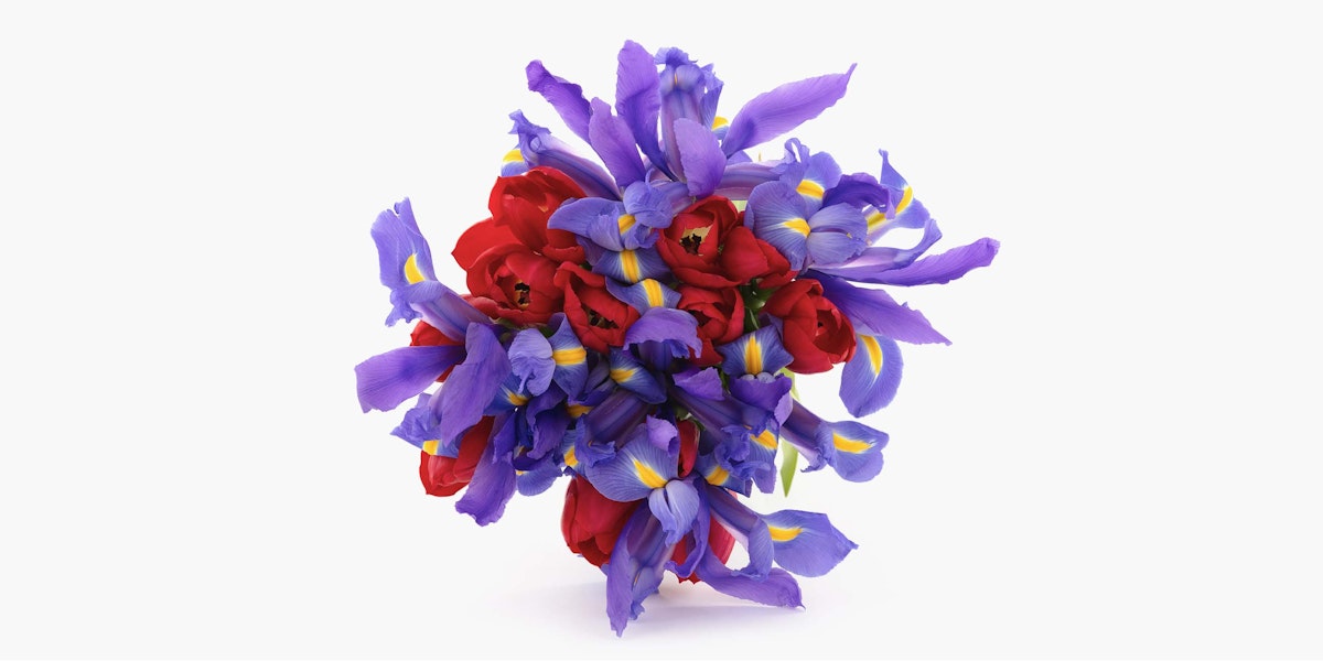 Bouquet of blue irises