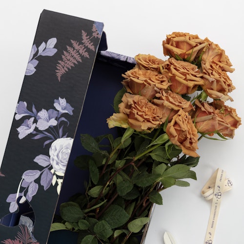 Premium Roses