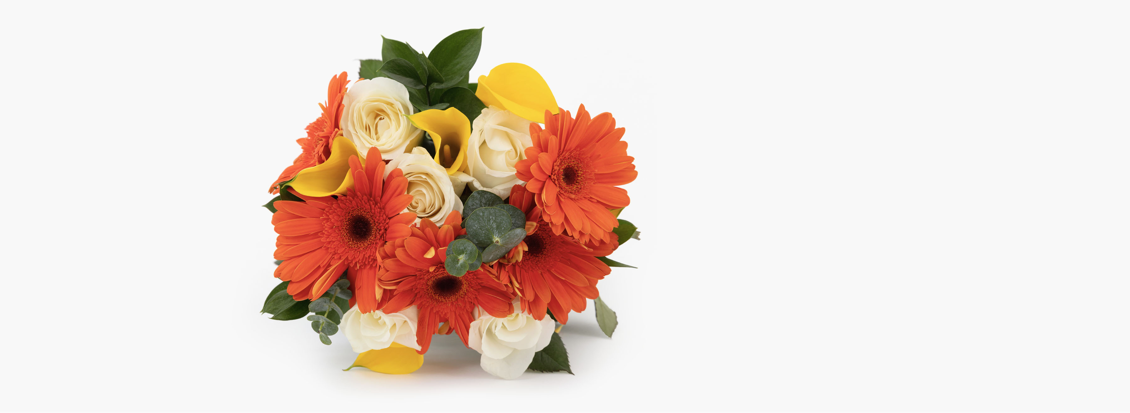 Guide Birthday Flowers, Everything You Need To Know