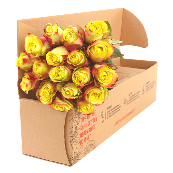 Flower Subscription Rose Bouquet Roses in a Box