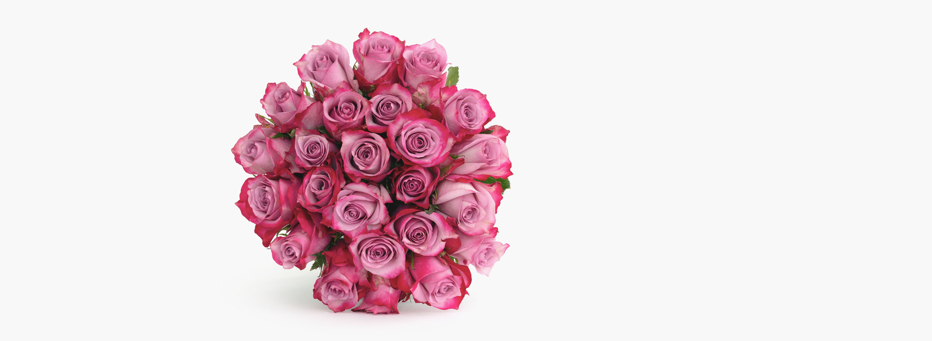 Mother's Day Flowers Delivery Roses & Plants BloomsyBox