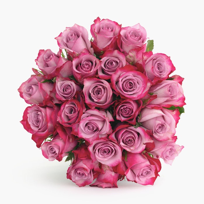 A vibrant bouquet of fresh pink roses tightly clustered, with varying shades from light to deep pink, set against a clean, white background.