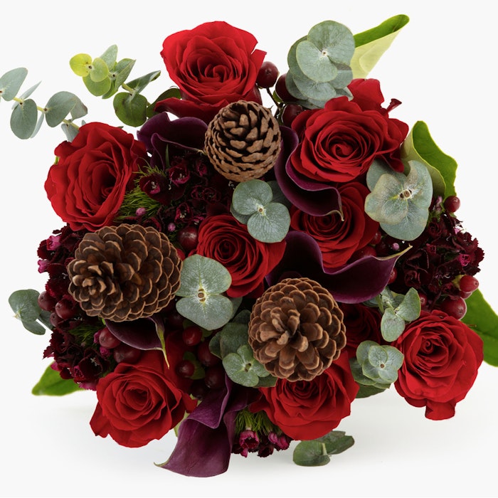 Elegant bouquet of deep red roses, burgundy flowers, pine cones, and green leaves set against a clean white background, symbolizing festivity and romance.