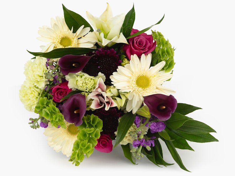 Beautiful bouquet featuring an assortment of flowers including pink roses, white daisies, burgundy calla lilies, and green hydrangeas on a white background.