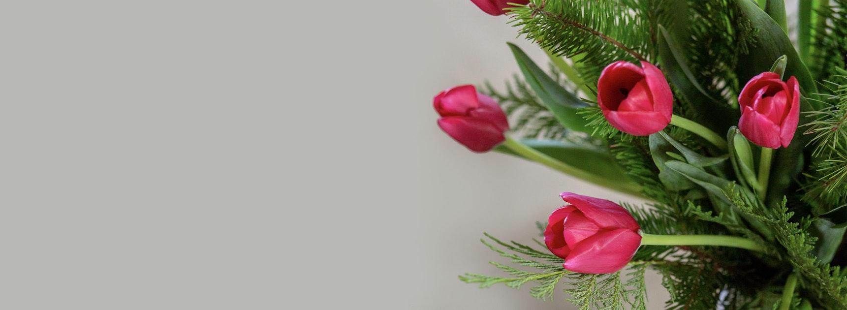 Vibrant pink tulips nestled among fresh green foliage in an elegant arrangement.