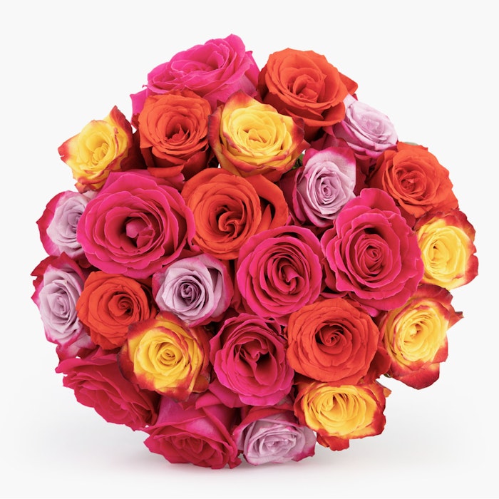 A colorful bouquet of roses in shades of pink, red, yellow, and orange arranged in a spherical shape, presented against a white background.