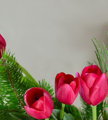Vibrant pink tulips paired with lush greenery in a charming floral arrangement.