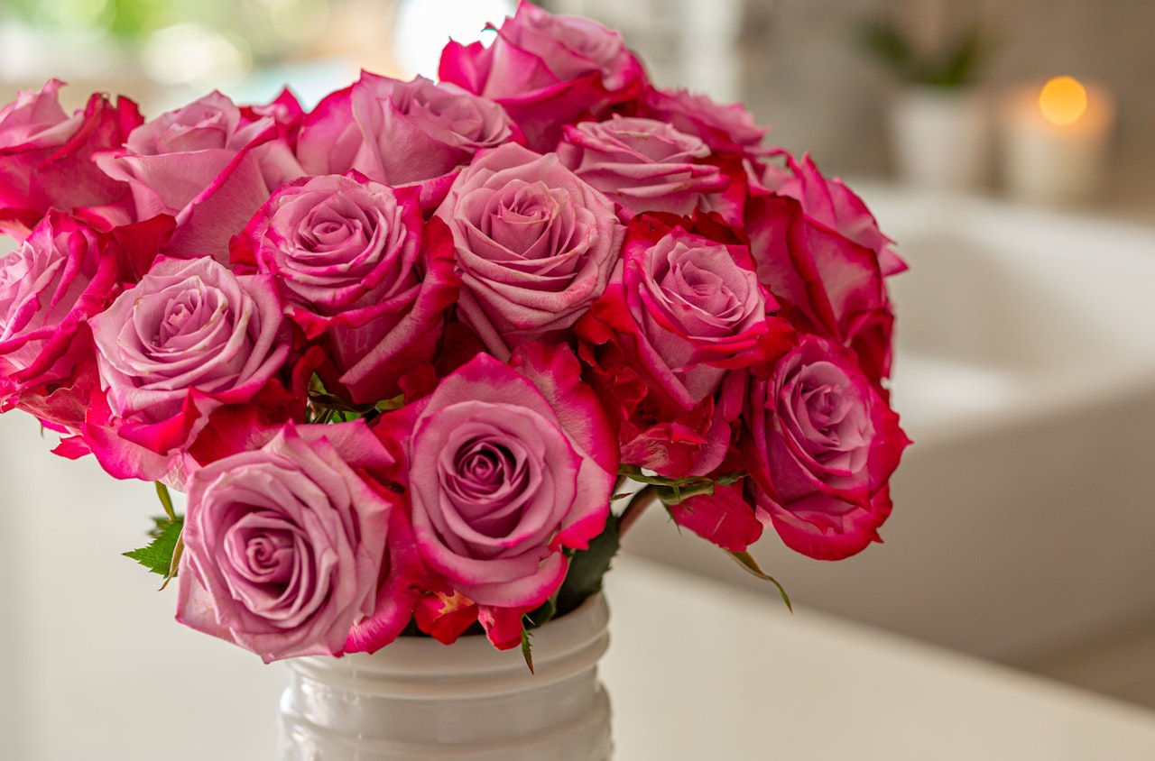 Vibrant pink and lavender roses in a chic vase, perfect for elegant decor or gifts.